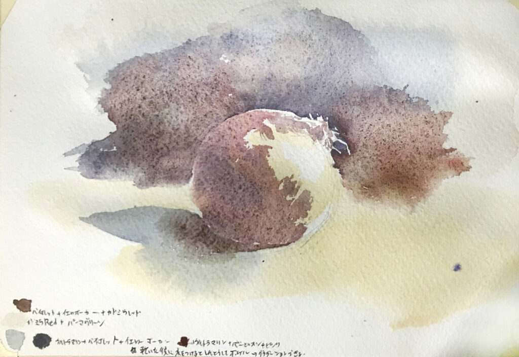 玉ねぎ 水彩画