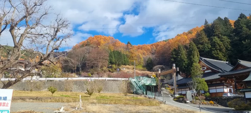 長野の紅葉