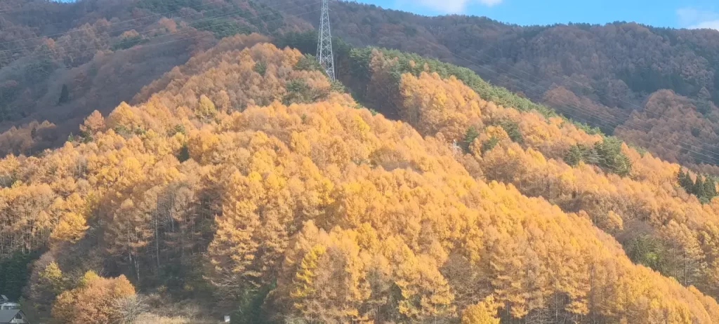 長野の紅葉