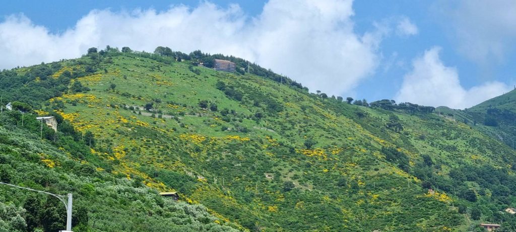 Monte-Fasce