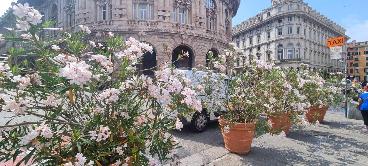 イタリアのジェノヴァの街